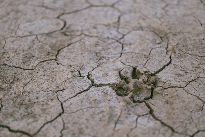 arid-calamity-crack-cracks-632252